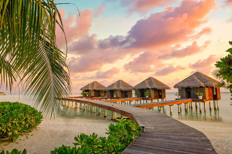 Explore the Magic of the Maldives